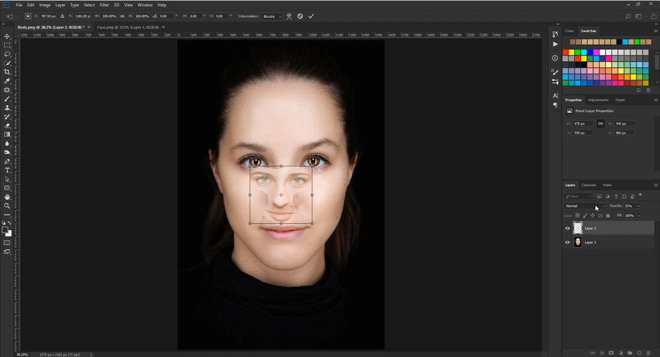 Manipulate the Face Layer