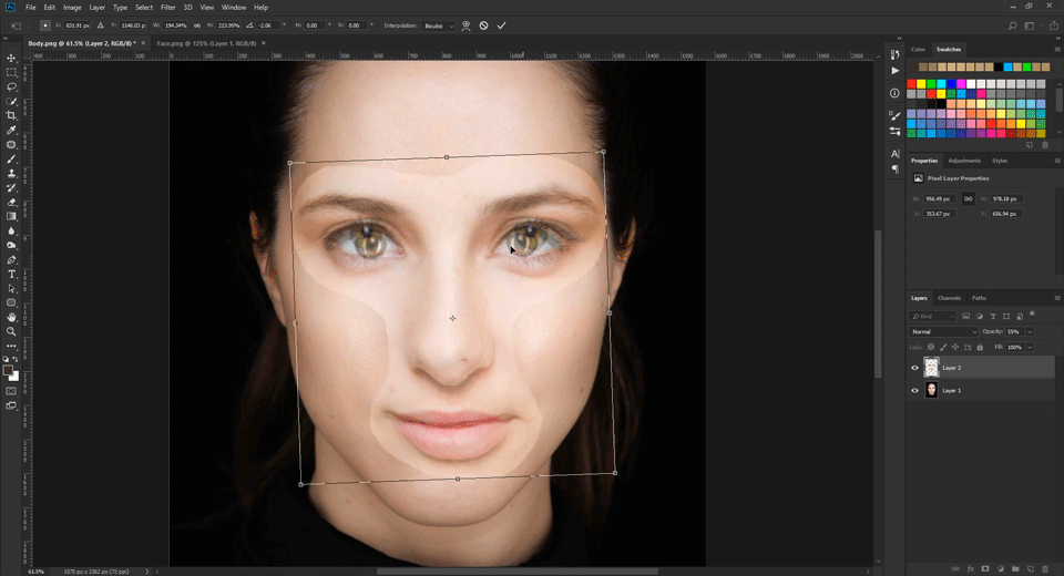 Transform the Face Layer